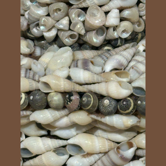 Folk Art Sailor's Shellwork Candlesticks