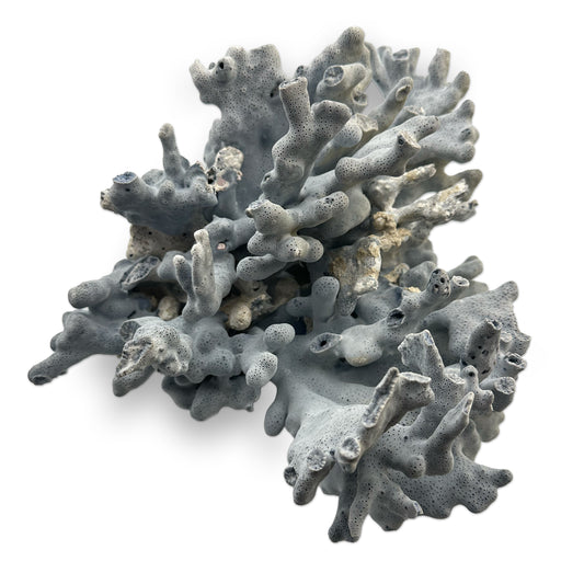 Vintage Blue Branch Coral Specimen